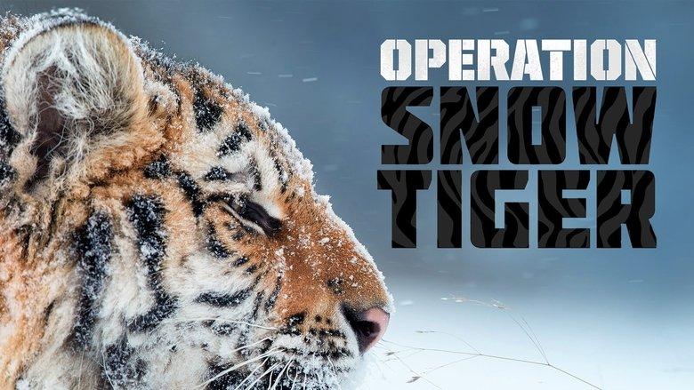 Operation Snow Tiger image