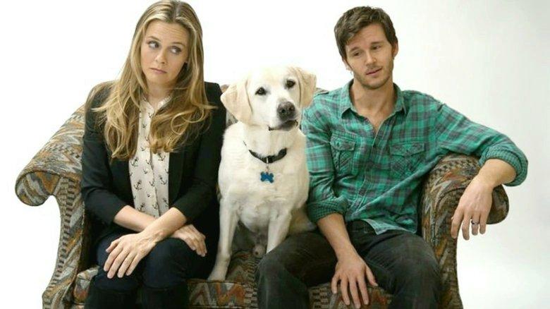 Who Gets the Dog? image
