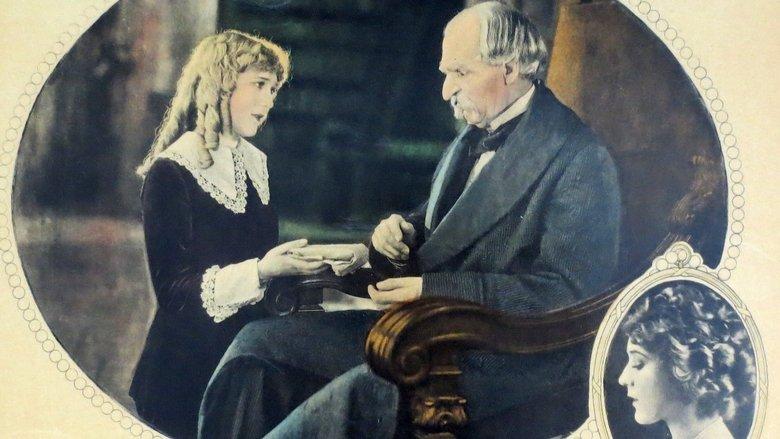 Little Lord Fauntleroy image