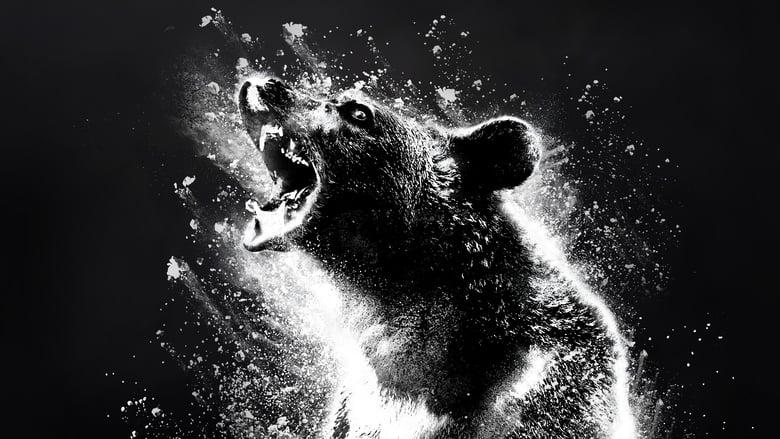 Cocaine Bear image