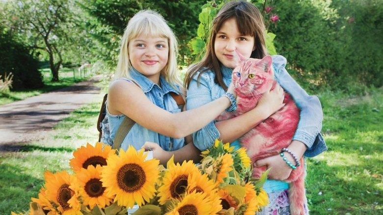 Jill, Joy and the Mysterious Stranger image
