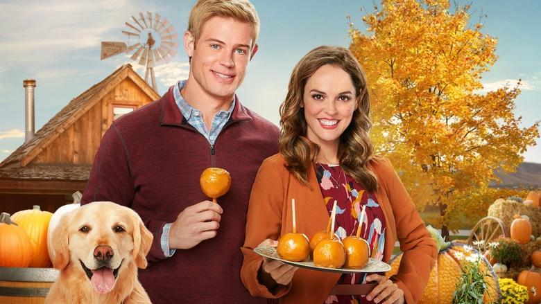 Love, Fall & Order image