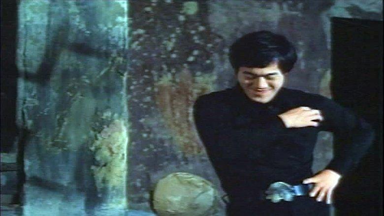 Fists of Bruce Lee image