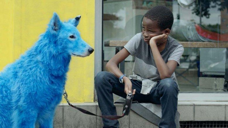 Blue Dog image