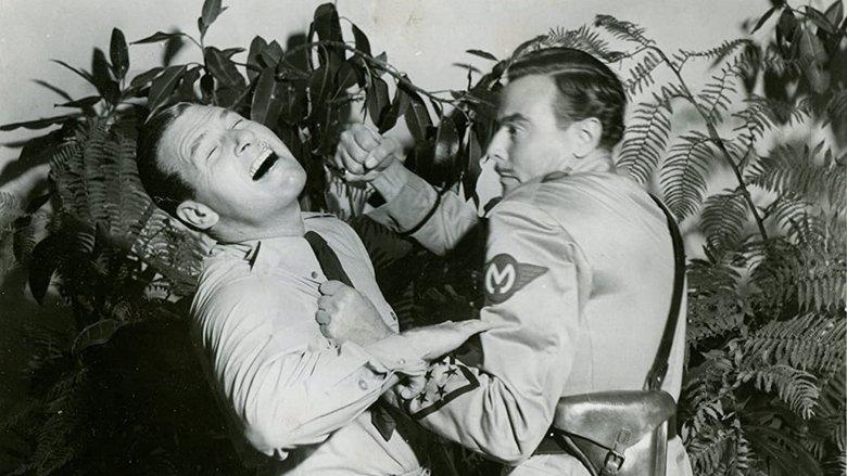 Forced Landing image