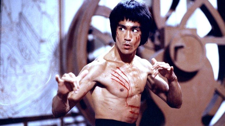 I Am Bruce Lee image