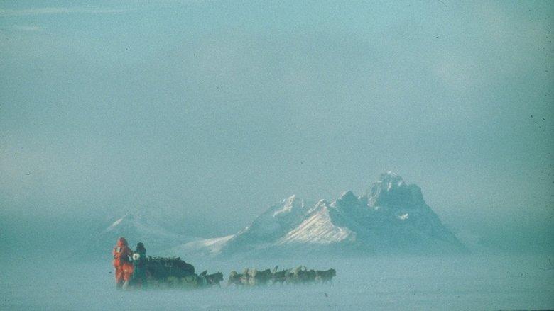 Au Sud du Sud image