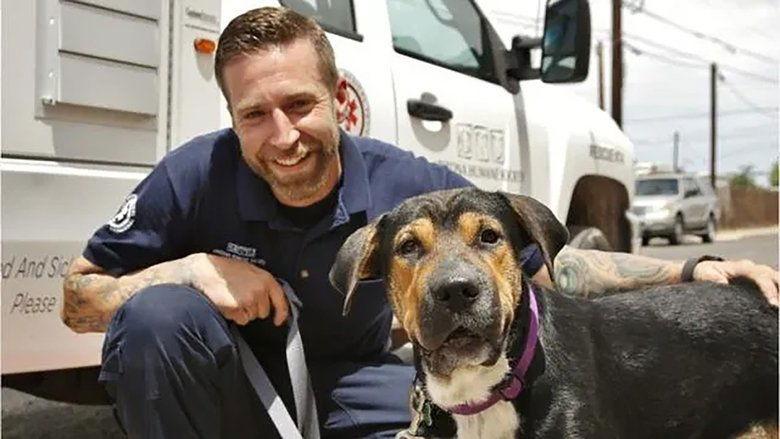Animal Cops image