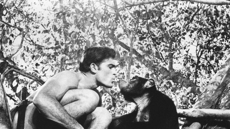 Tarzan and the Valley of Gold image