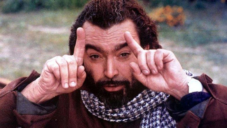 Il toro image