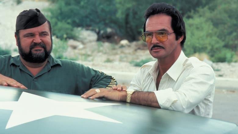 Cannonball Run II image