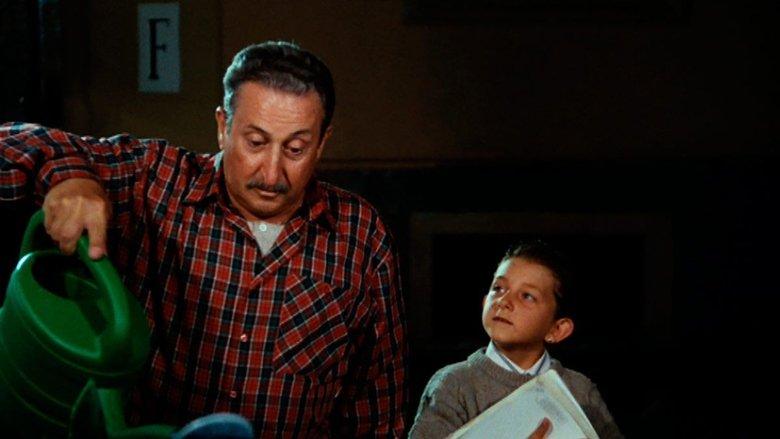 Ci hai rotto papà image