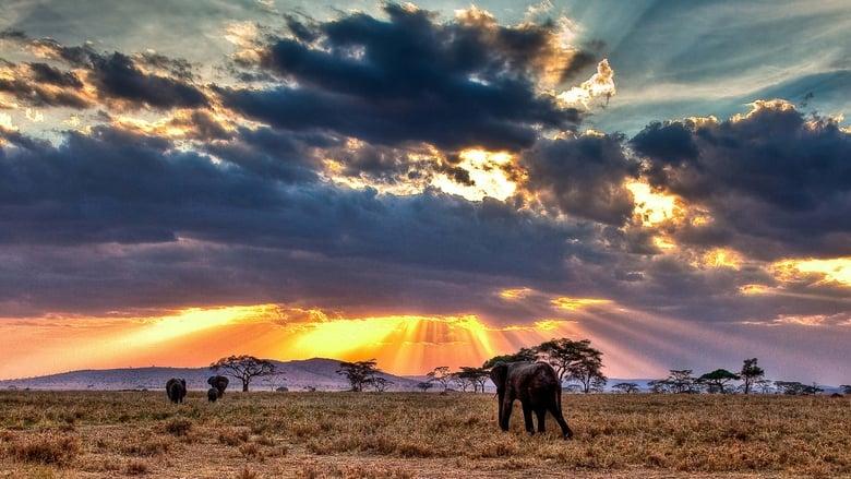 Nomads of the Serengeti image