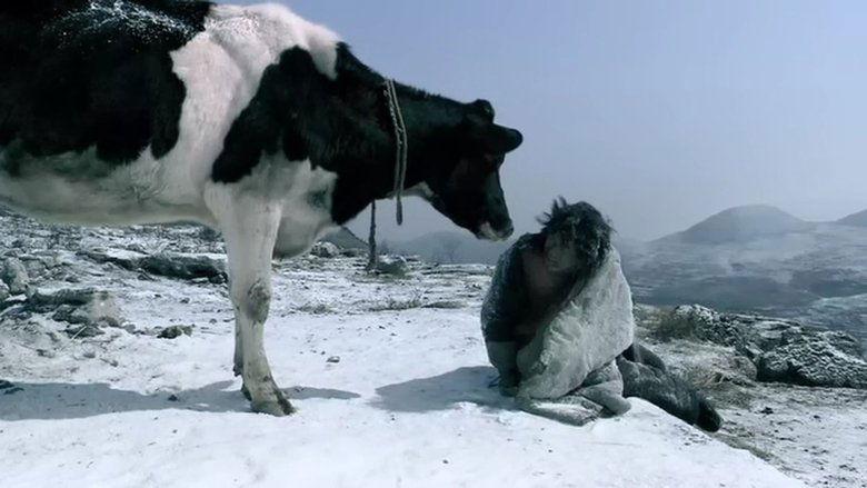 Cow image