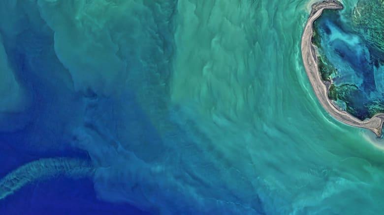 The Earthshot Prize: Repairing Our Planet image