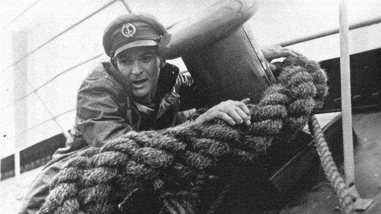 Sea Fury image