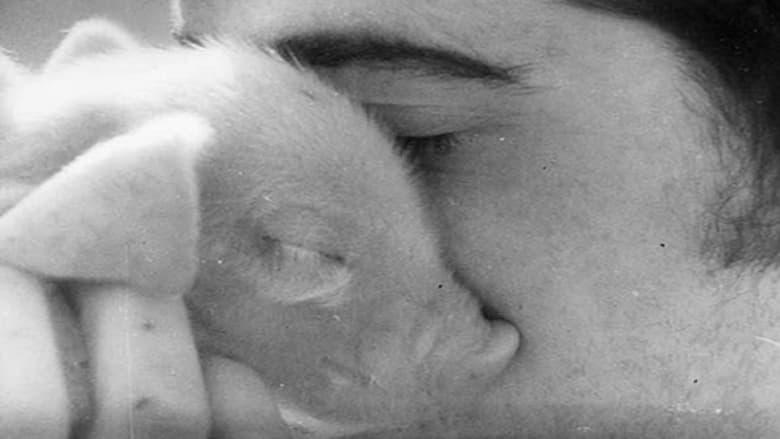 The Pig & I: A Love Story image