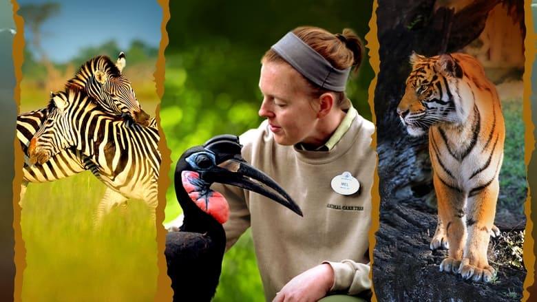 Magic of Disney's Animal Kingdom image