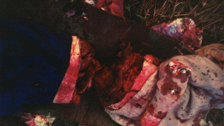 Das Wiener Kettensägenmassaker image