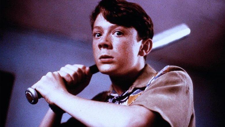 The Paperboy image