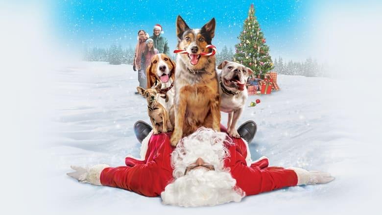 Pups Alone image