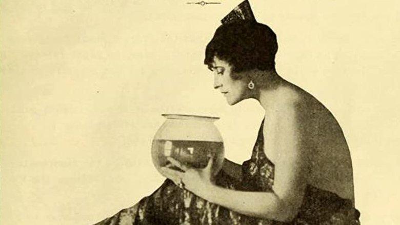 Vera, the Medium image