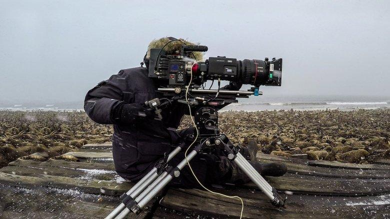 Our Planet: Behind the Scenes image