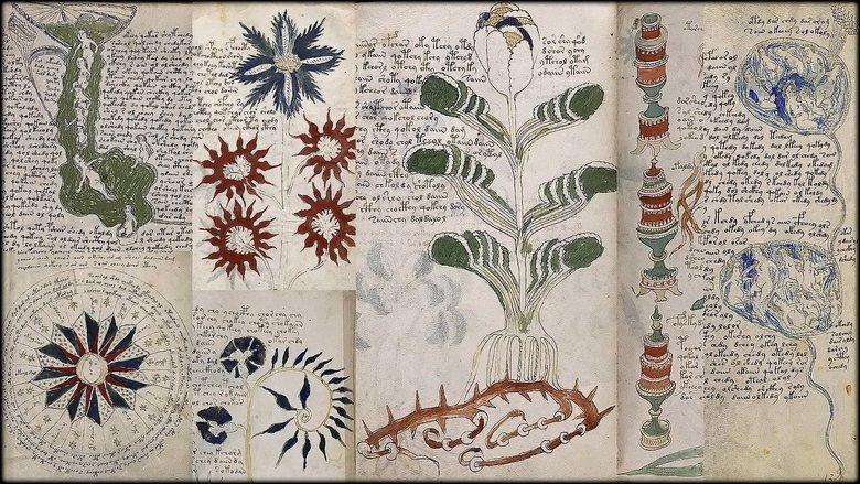 Das Voynich-Manuskript - Die geheimnisvollste Handschrift der Welt image