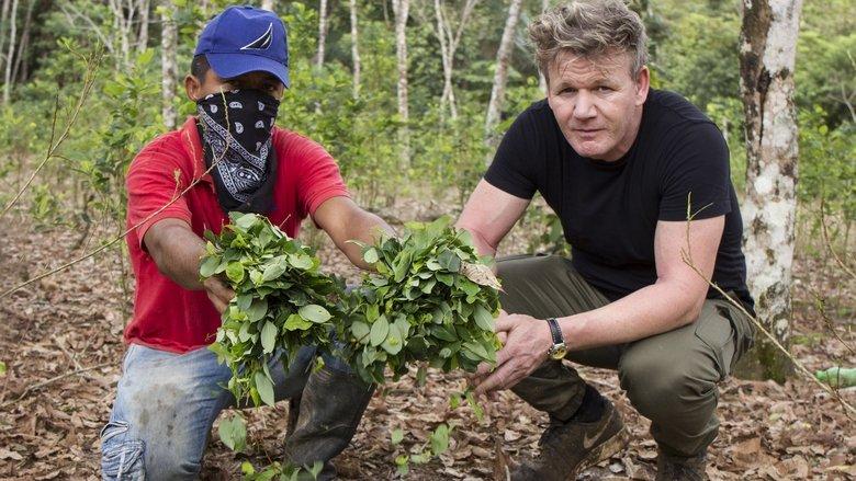 Gordon Ramsay on Cocaine image