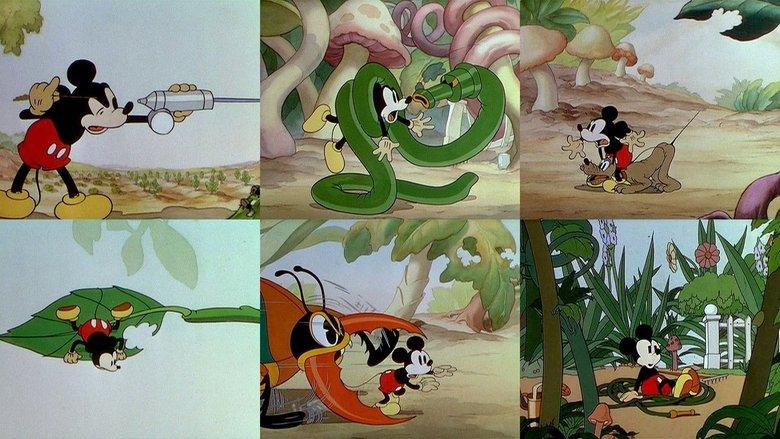 Mickey's Garden image