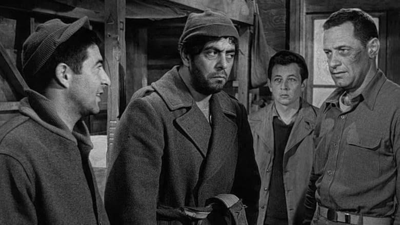 Stalag 17 image