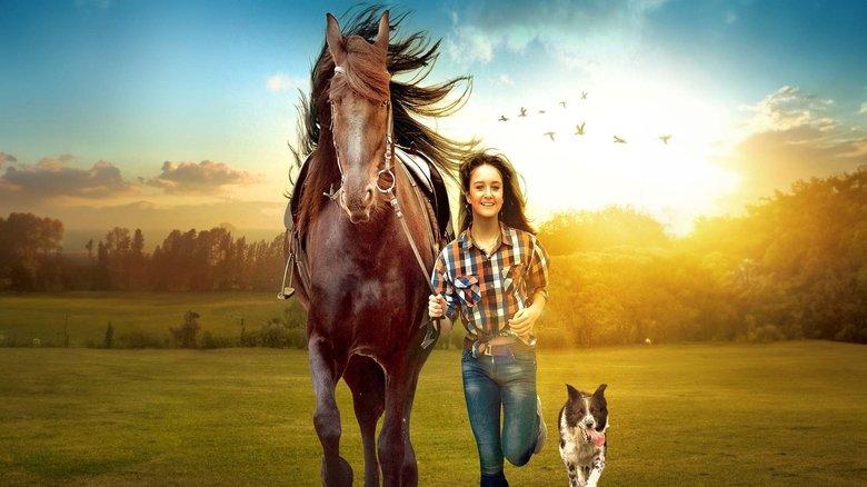 My Best Friend image