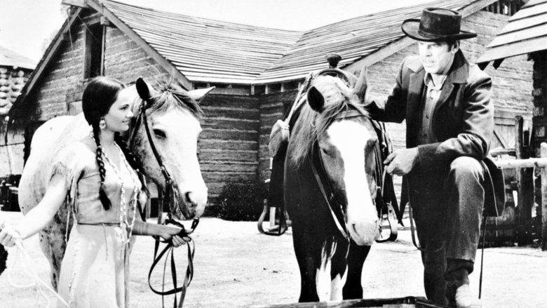 The Oregon Trail image