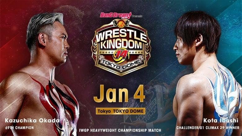NJPW Wrestle Kingdom 14: Night 1 image