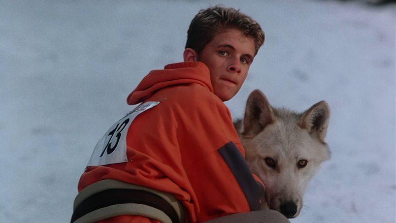 Silver Wolf image