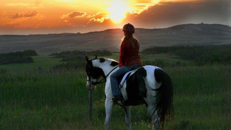Moondance Alexander image