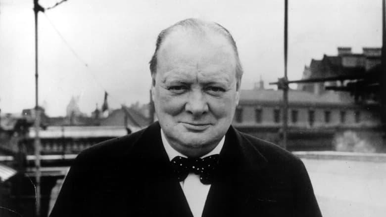 Winston Churchill: A Giant in the Century image