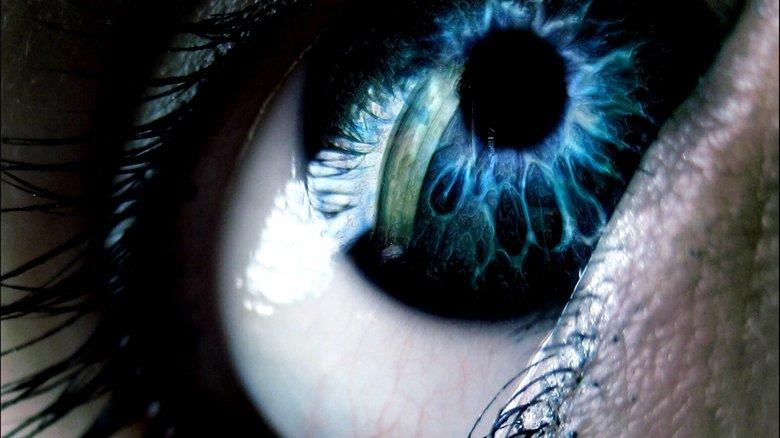 Human Instinct image