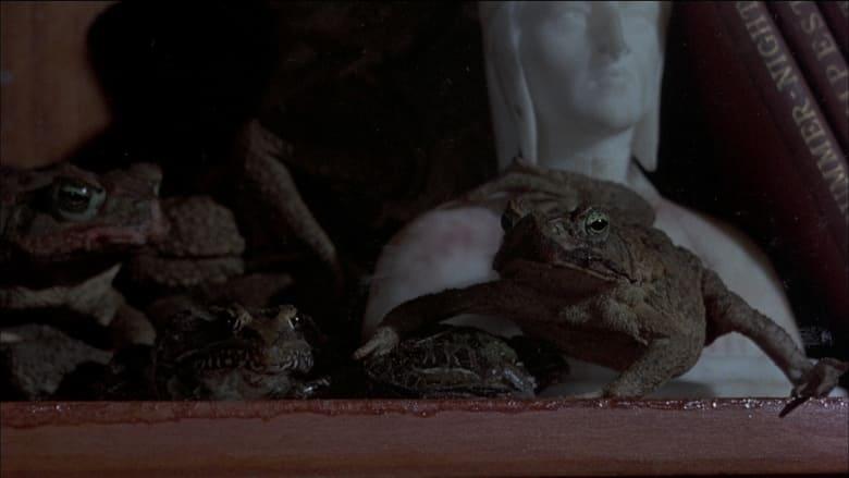 Frogs image