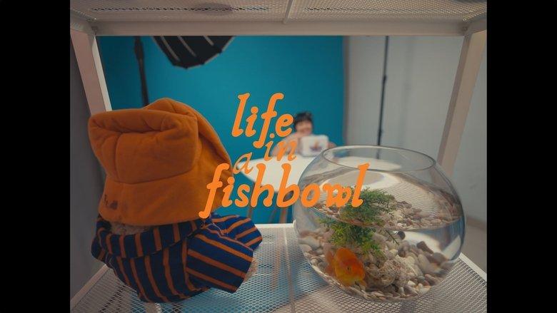 Life in a Fishbowl image