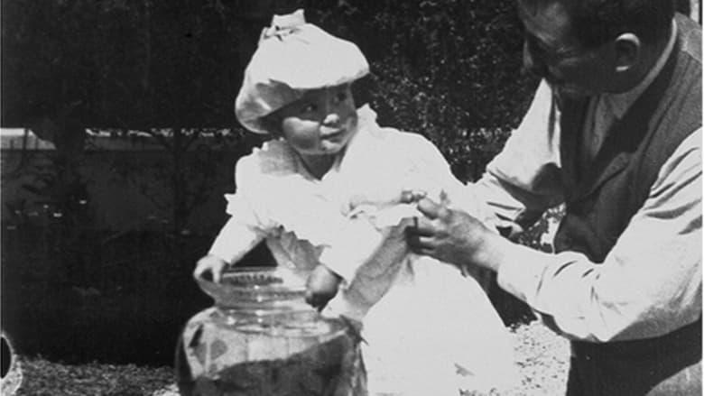 Fishing for Goldfish image