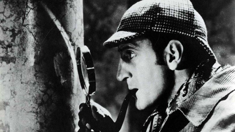 The Hound of the Baskervilles image