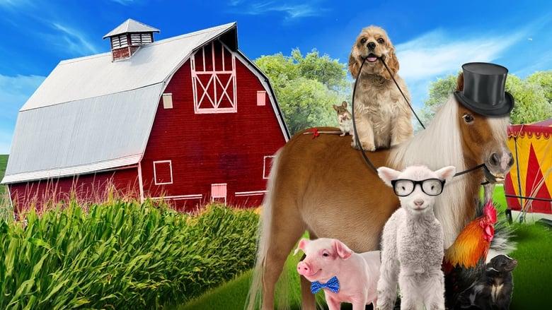 A Dog and Pony Show image