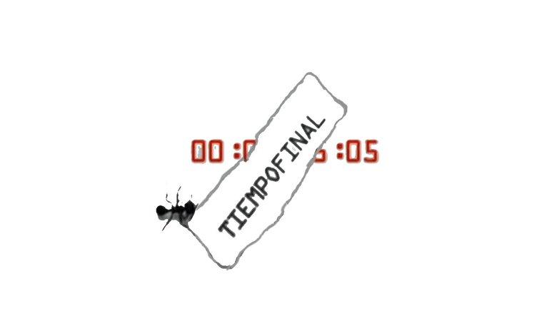 Tiempo final image