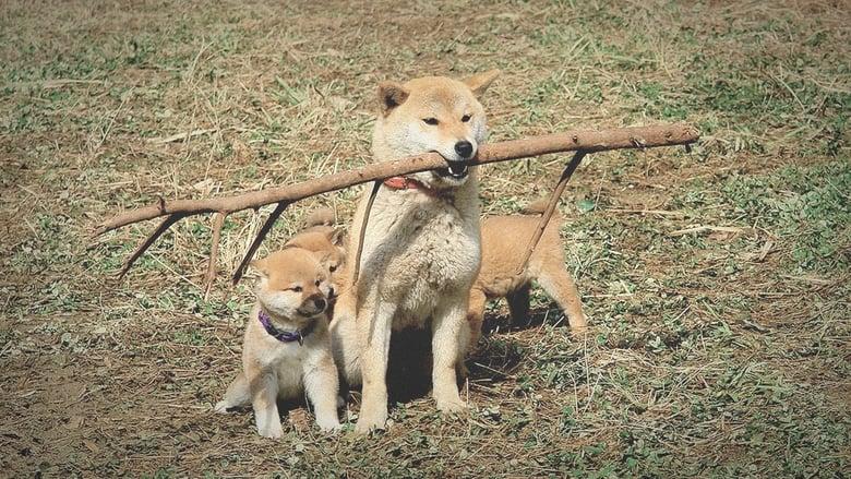 A Tale of Mari and Three Puppies image