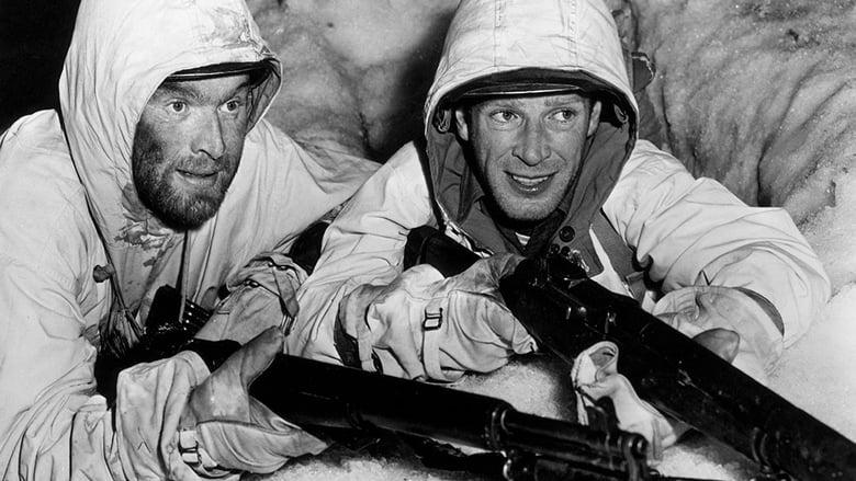 Fixed Bayonets! image