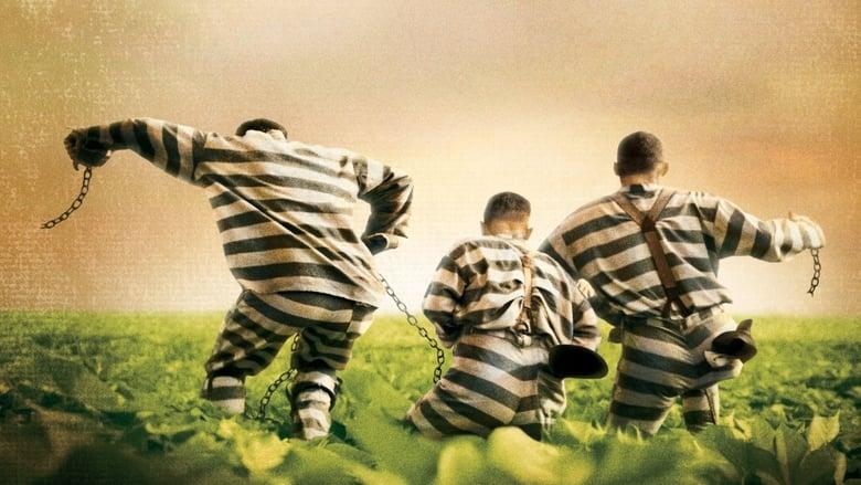 O Brother, Where Art Thou? image