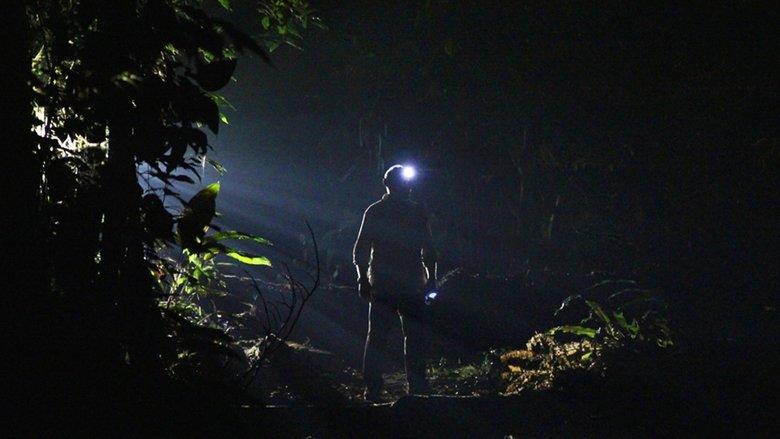 The Dark: Nature's Nighttime World image