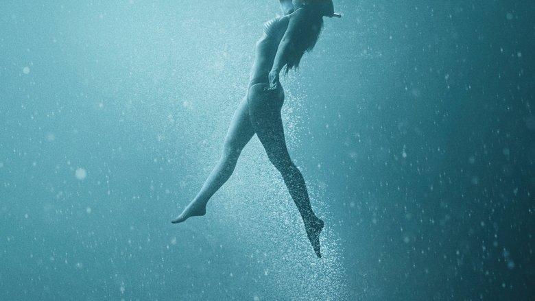 47 Meters Down: Uncaged image