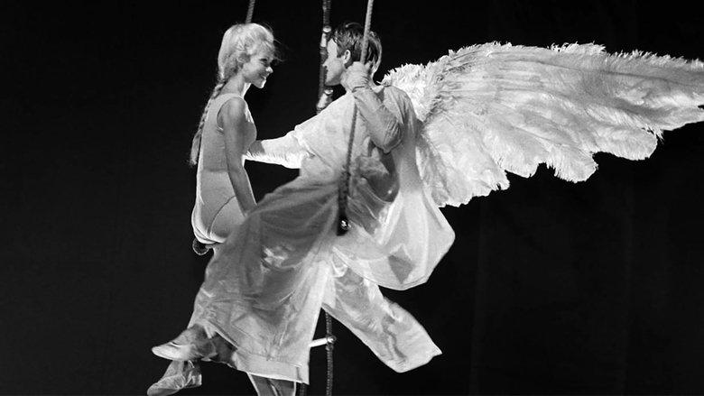 Circus Angel image